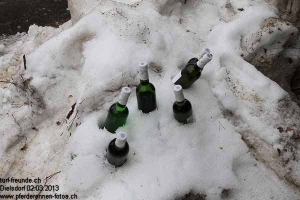 IMG 0084 prot